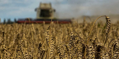 Германия работи със своите съюзници, за да гарантира, че украинското зърно няма да изгние в силозите